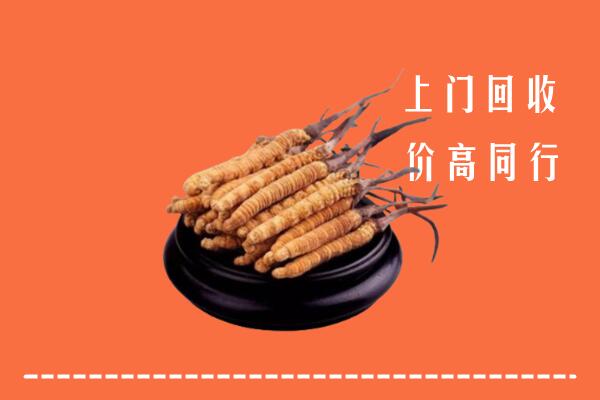 广安回收散虫草
