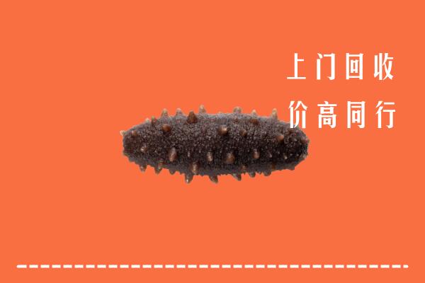 广安高价回收海参
